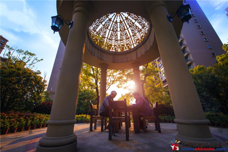 丰泰卡地亚湾实景图 14/14