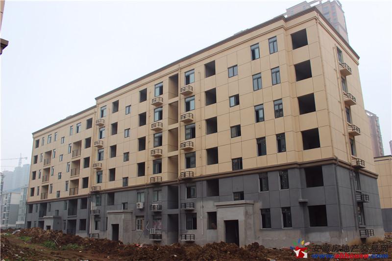 振华蓝泊湾实景图 5/9