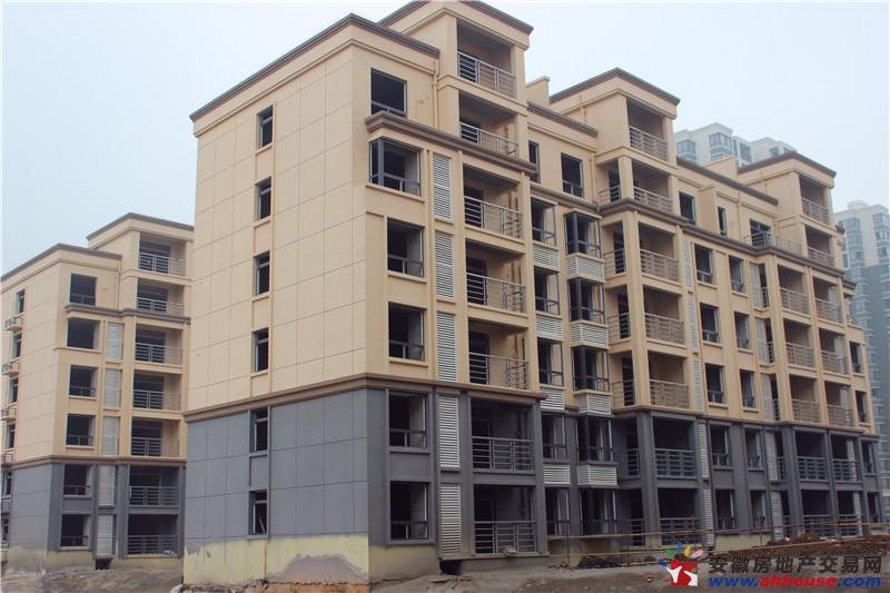 振华蓝泊湾实景图 6/9