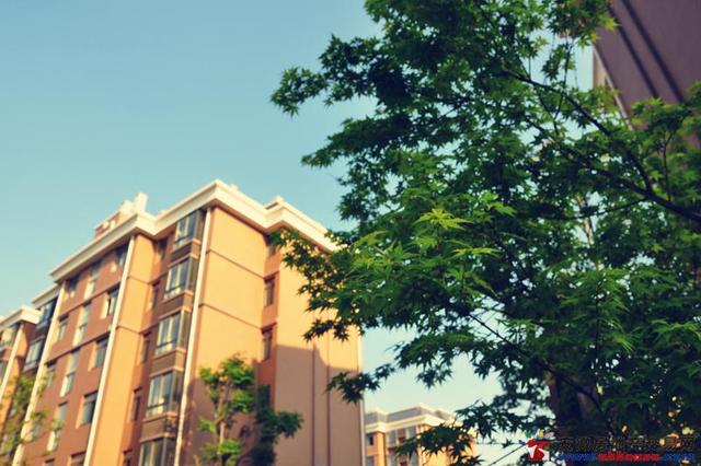 实景图 9/10