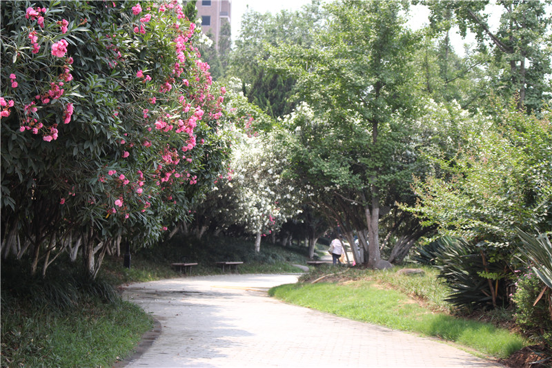 小区实景 3/3