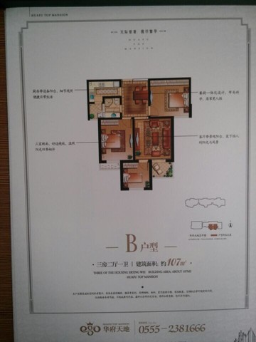B 6/8