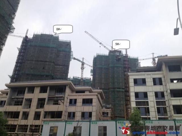 实景图 3/4
