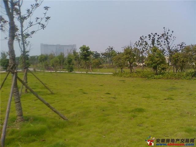 小区实景 7/7