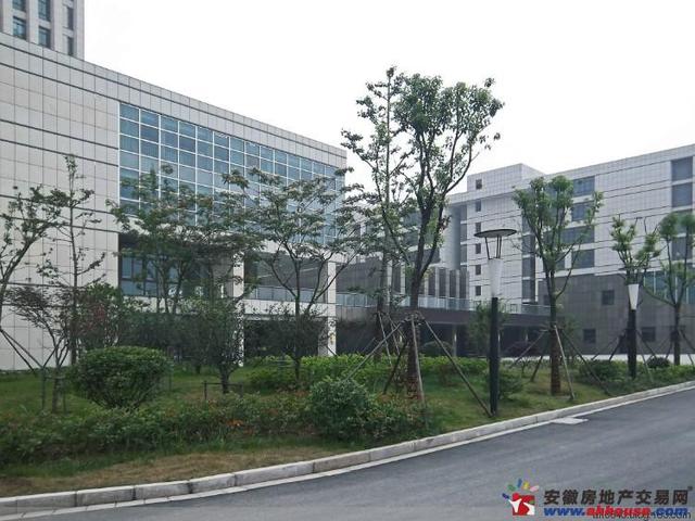 小区实景 3/3