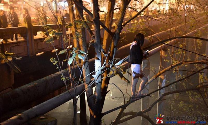 站街女”爬树对峙-宿州房产网图片频道