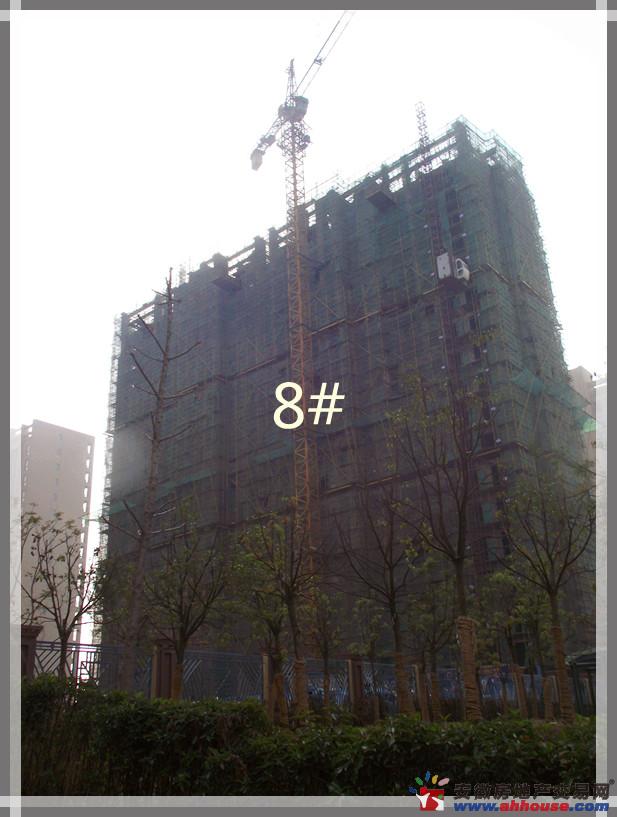 Ƭ:쳤11ڽĿ