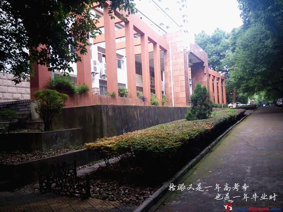 青春记忆|铜陵学院老区 闹市中的一抹宁静