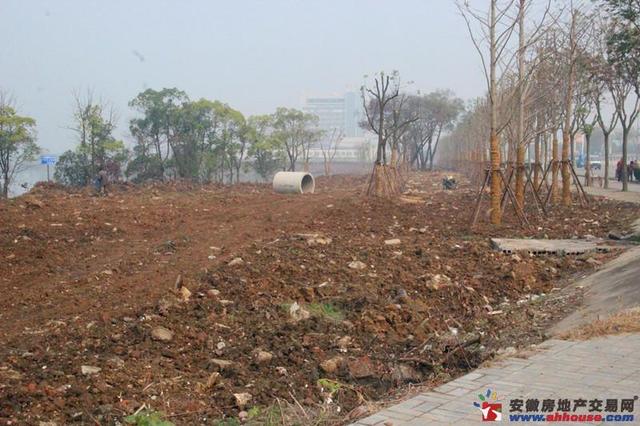 改建中的汀塘公园 11/11