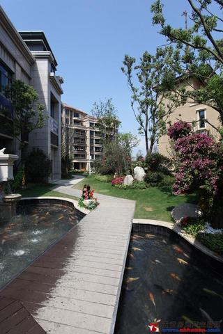 碧桂园实景图 10/14