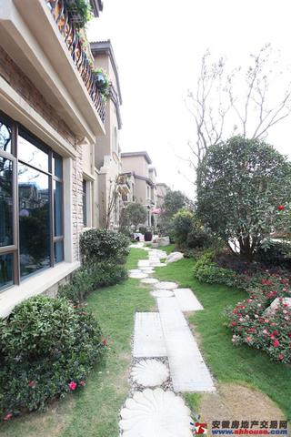 碧桂园实景图 5/14