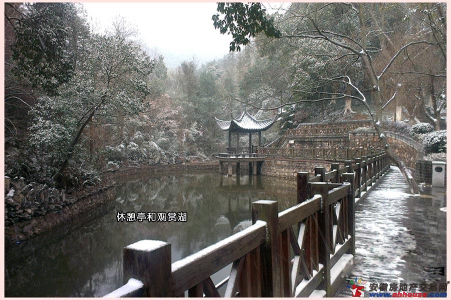 镜头宣城:2014年宣城敬亭山的雪景
