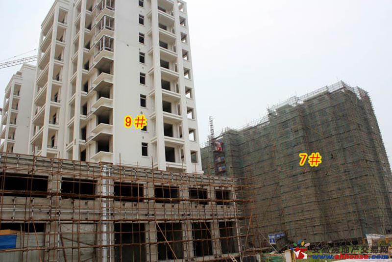 在建7#楼9#楼 20/27