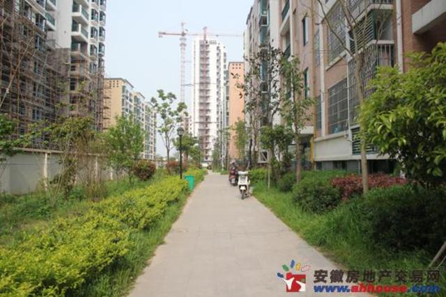 小区实景 3/12