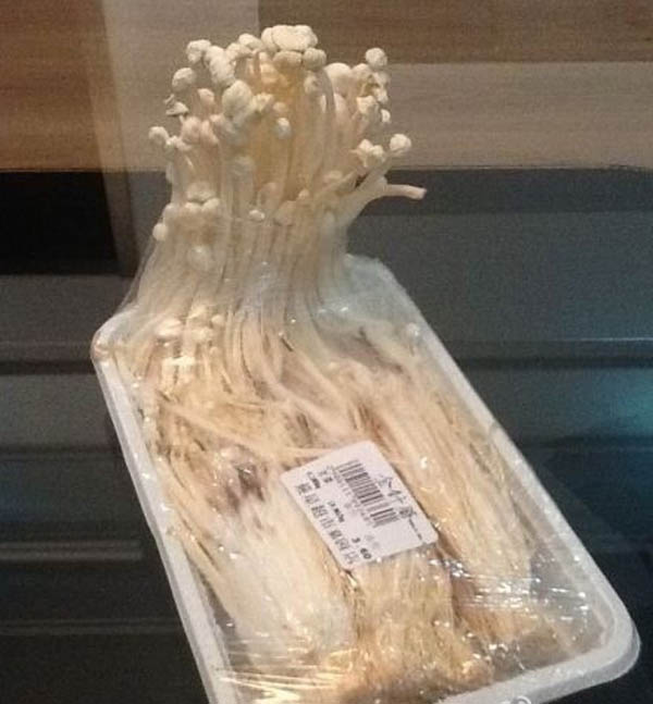 买回家的金针菇还长大了?那吃下去的怎么办?