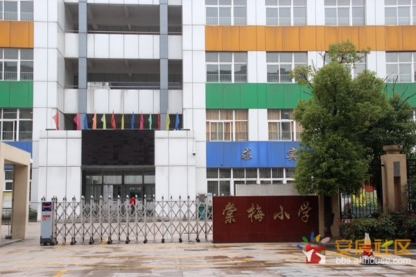 棠梅小学