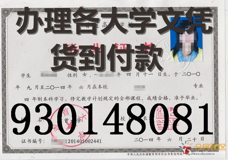 执业药师_主管药师收入