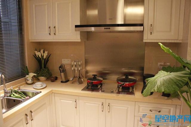 样板间厨房 12/20