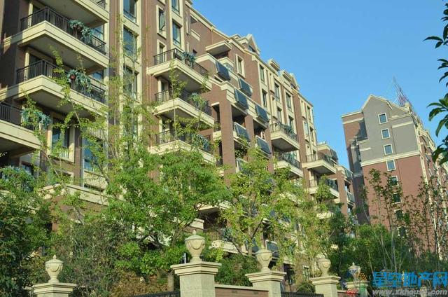 一期实景图 8/35