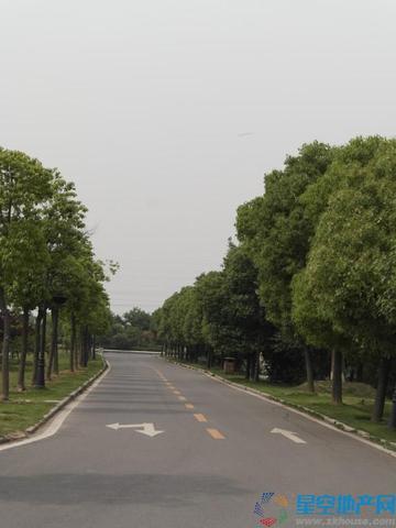 别墅实景图 5/20