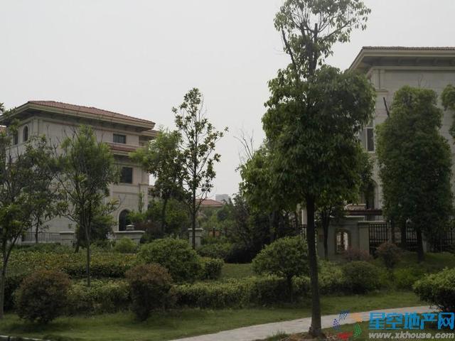 别墅实景图 6/20