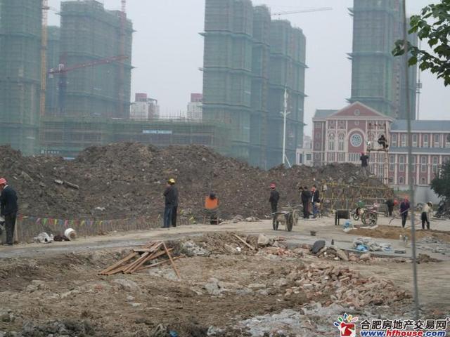 11月新盘探营 5/8