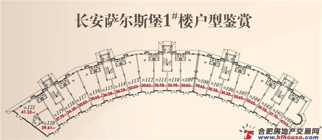 萨尔斯堡1#商业户型 2/3