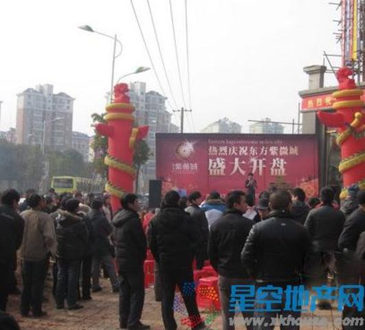 东方紫薇城开盘实景图. 1/1