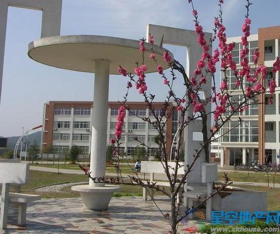 周边配套九江县一中 1/2