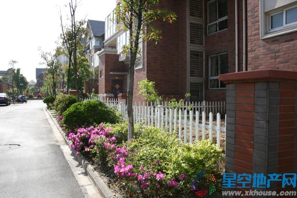 风景城邦实景 4/13