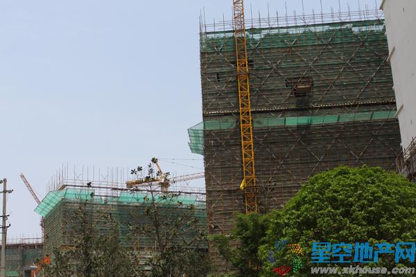 施工现场图 7/14