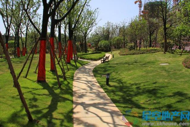 项目实景图 8/18