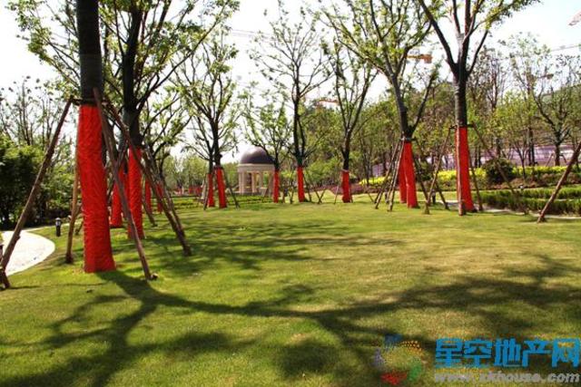 项目实景图 9/18