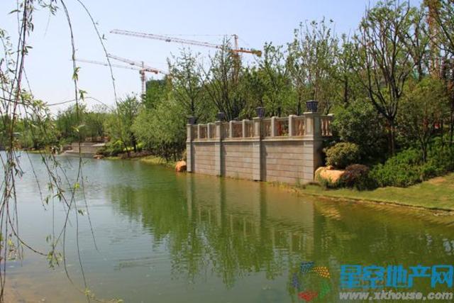 项目实景图 4/18