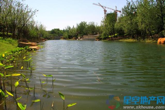 项目实景图 3/18