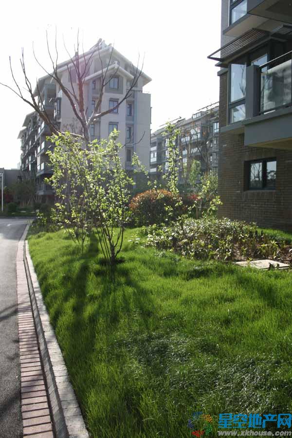 小区实景 5/15