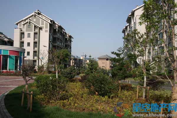 小区实景 11/15